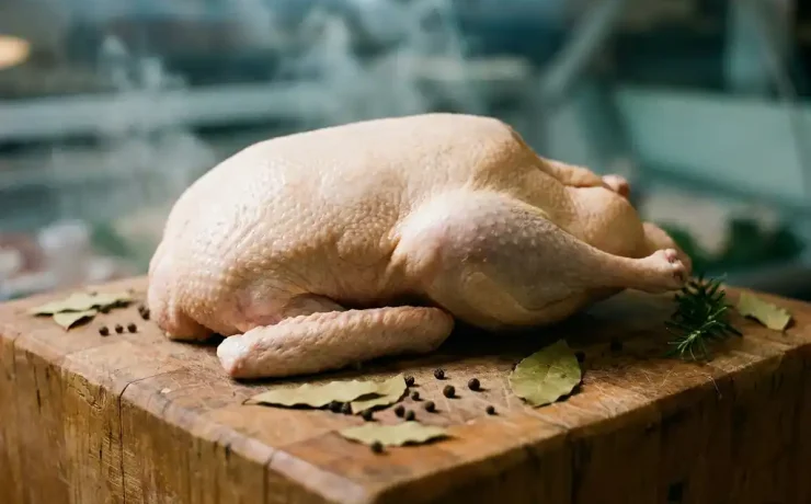 Rohe ganze Gans auf rustikalem Holzblock mit Lorbeerblättern, Pfefferkörnern und Rosmarinzweig.